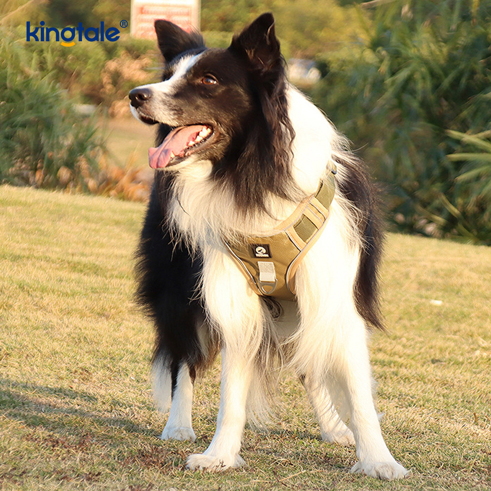 Köpek Tasmalı Naylon Perçin Yansıtıcı Ayarlanabilir Nefes Alabilir Spor Koşum Takımı