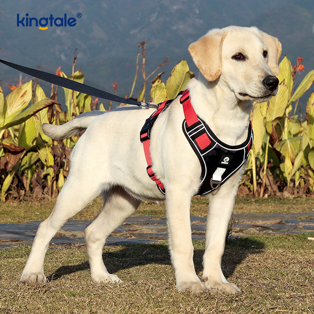 Köpek Tasmalı Naylon Perçin Yansıtıcı Ayarlanabilir Nefes Alabilir Spor Koşum Takımı