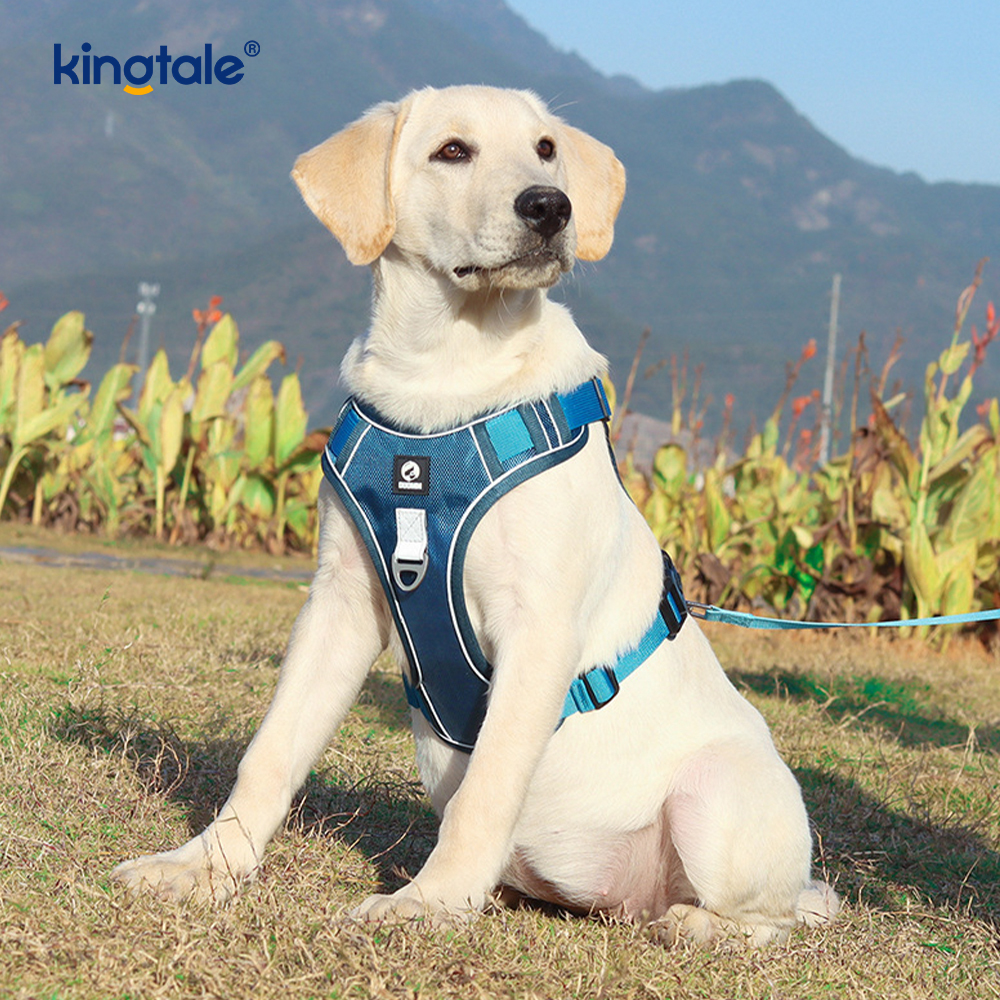 Köpek Tasmalı Naylon Perçin Yansıtıcı Ayarlanabilir Nefes Alabilir Spor Koşum Takımı