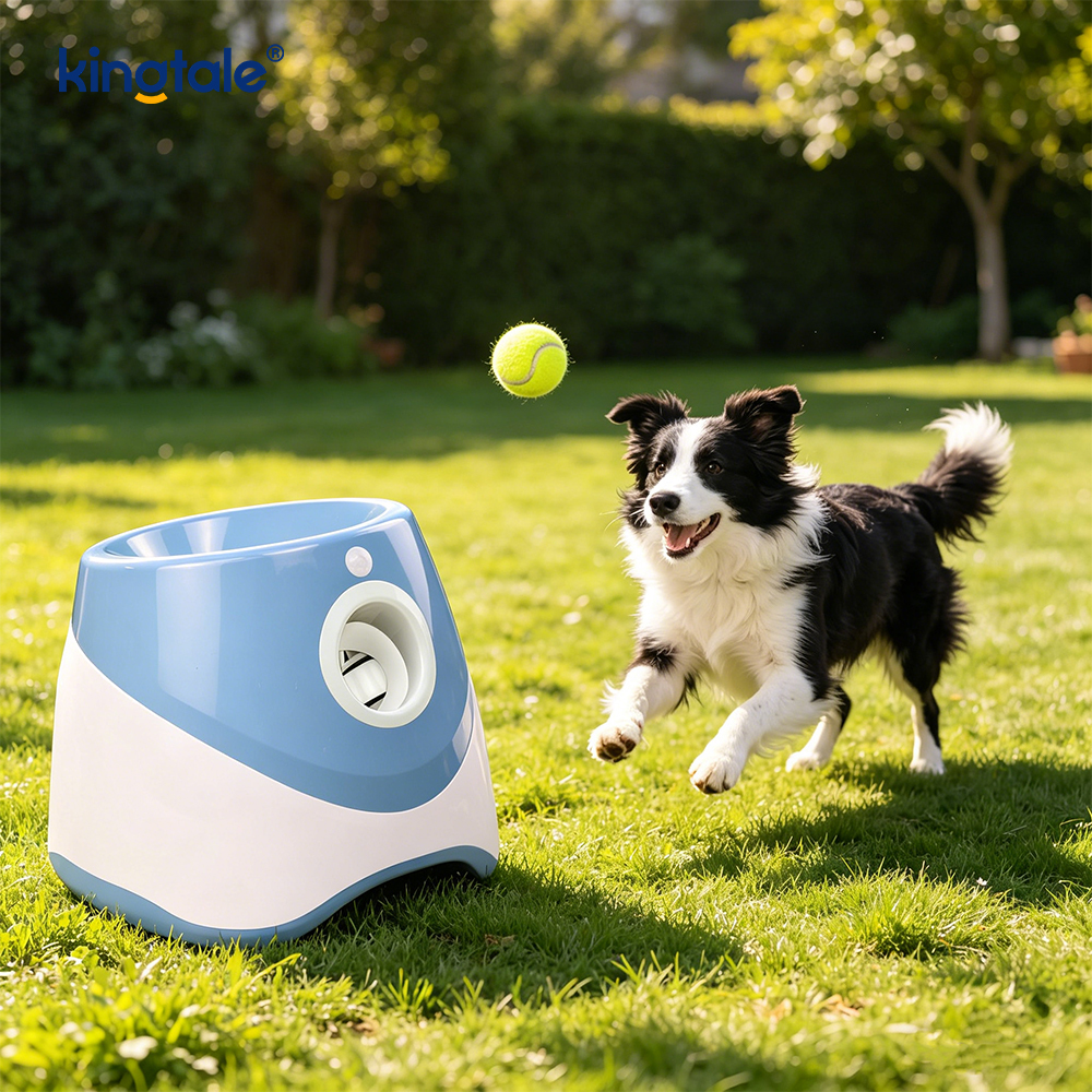 3 Mini Tenis Topu ile Otomatik Top Fırlatıcı Dış Mekan Köpek Oyuncakları 3 Mini Tenis Topu ile Otomatik Top Fırlatıcı Dış Mekan Köpek Oyuncakları