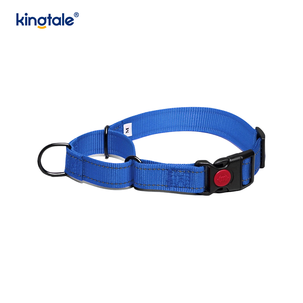 Hızlı Çıkarılan Çekme Yok Yansıtıcı Ayarlanabilir Naylon Martingale Köpek Tasması