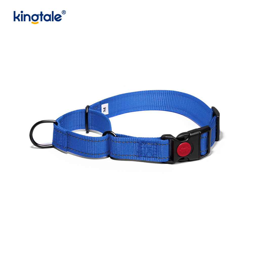 Hızlı Çıkarılan Çekme Yok Yansıtıcı Ayarlanabilir Naylon Martingale Köpek Tasması