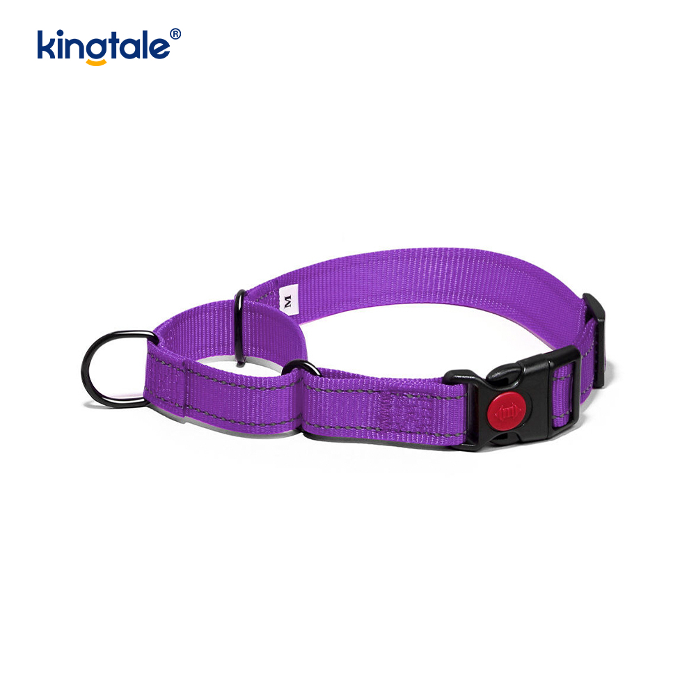 Hızlı Çıkarılan Çekme Yok Yansıtıcı Ayarlanabilir Naylon Martingale Köpek Tasması