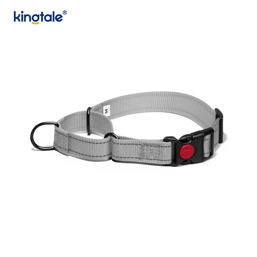 Hızlı Çıkarılan Çekme Yok Yansıtıcı Ayarlanabilir Naylon Martingale Köpek Tasması