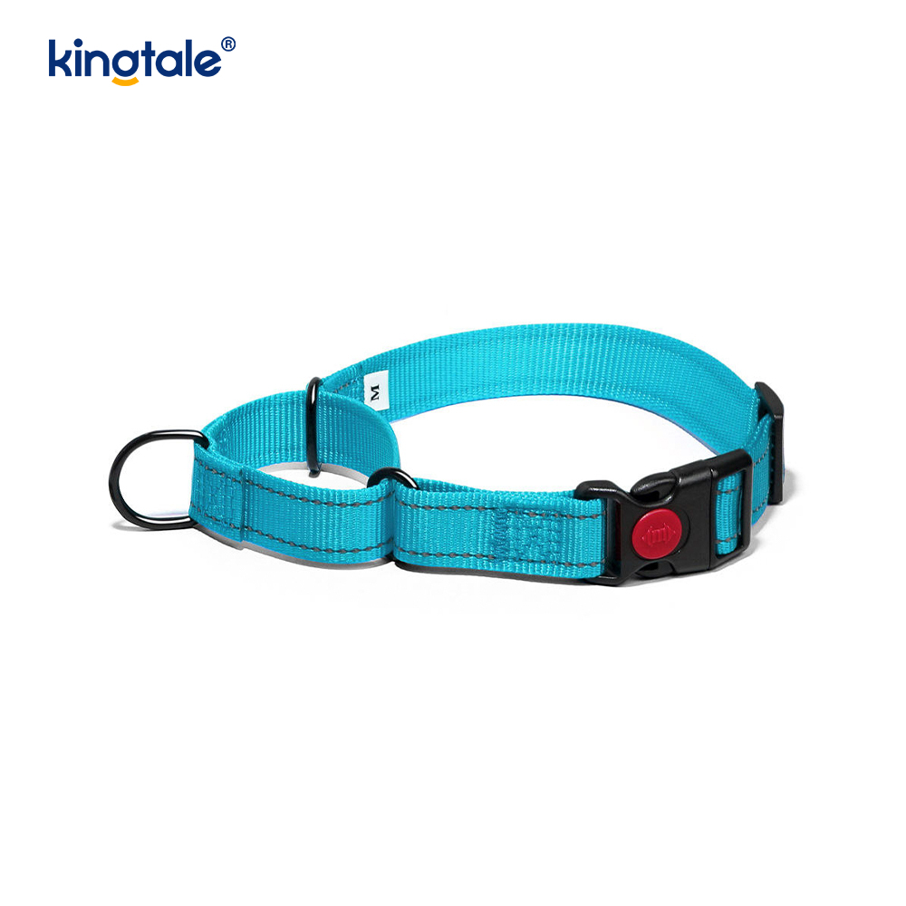 Hızlı Çıkarılan Çekme Yok Yansıtıcı Ayarlanabilir Naylon Martingale Köpek Tasması