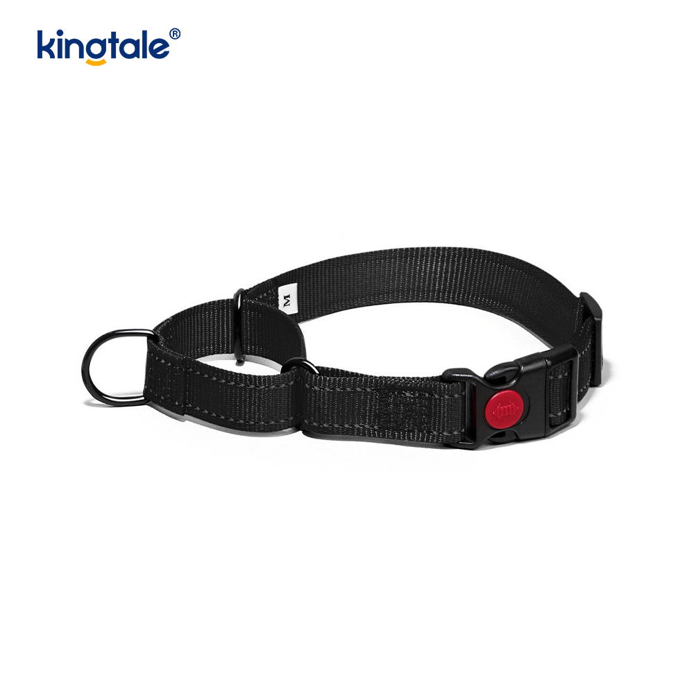 Hızlı Çıkarılan Çekme Yok Yansıtıcı Ayarlanabilir Naylon Martingale Köpek Tasması