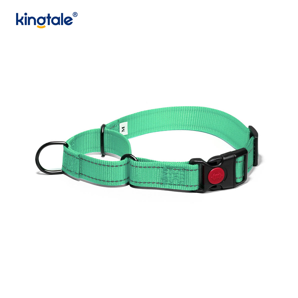 Hızlı Çıkarılan Çekme Yok Yansıtıcı Ayarlanabilir Naylon Martingale Köpek Tasması