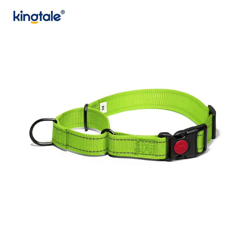 Hızlı Çıkarılan Çekme Yok Yansıtıcı Ayarlanabilir Naylon Martingale Köpek Tasması