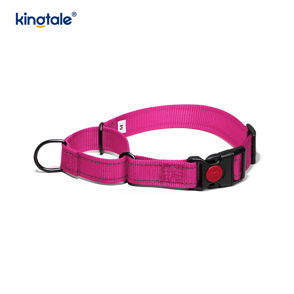 Hızlı Çıkarılan Çekme Yok Yansıtıcı Ayarlanabilir Naylon Martingale Köpek Tasması