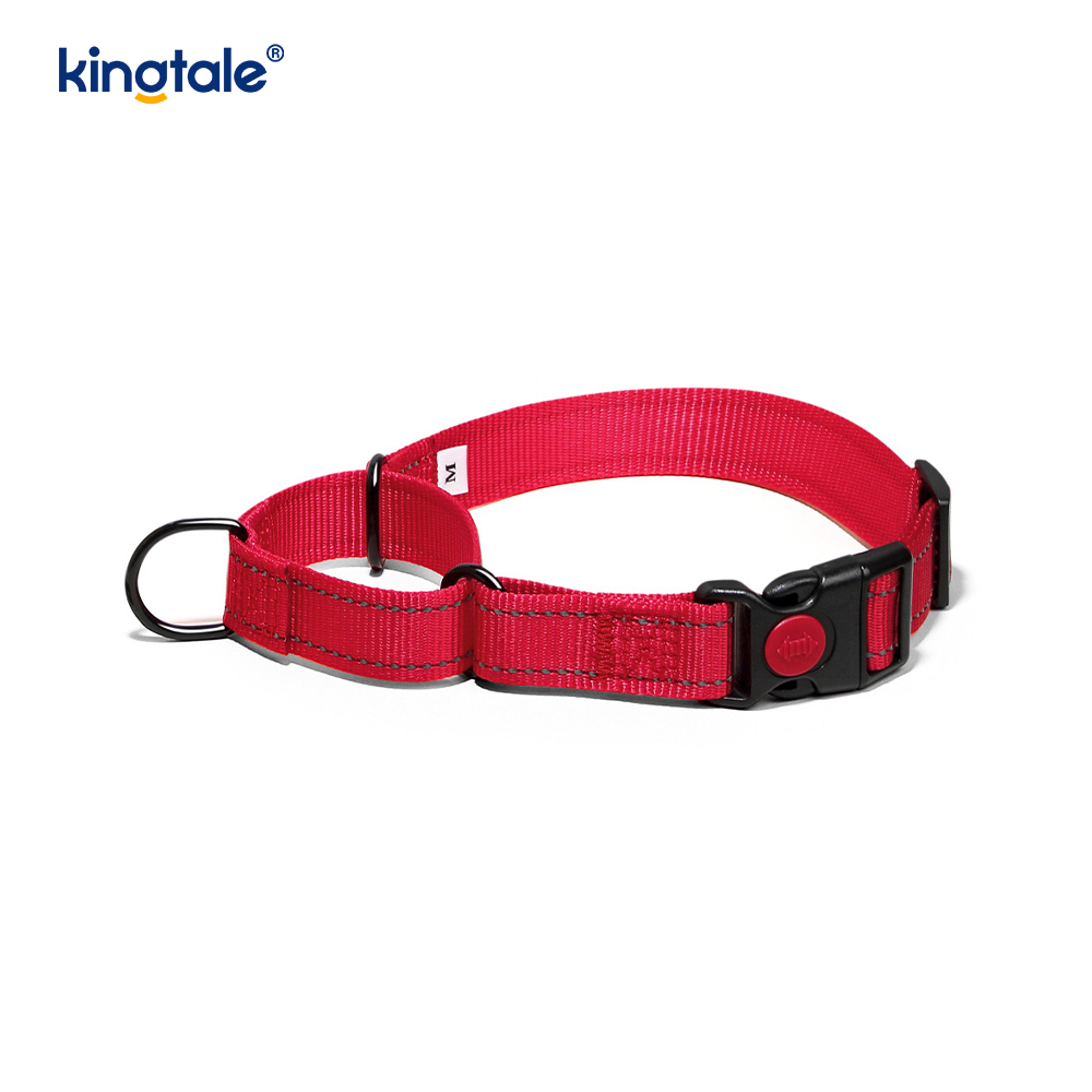 Hızlı Çıkarılan Çekme Yok Yansıtıcı Ayarlanabilir Naylon Martingale Köpek Tasması