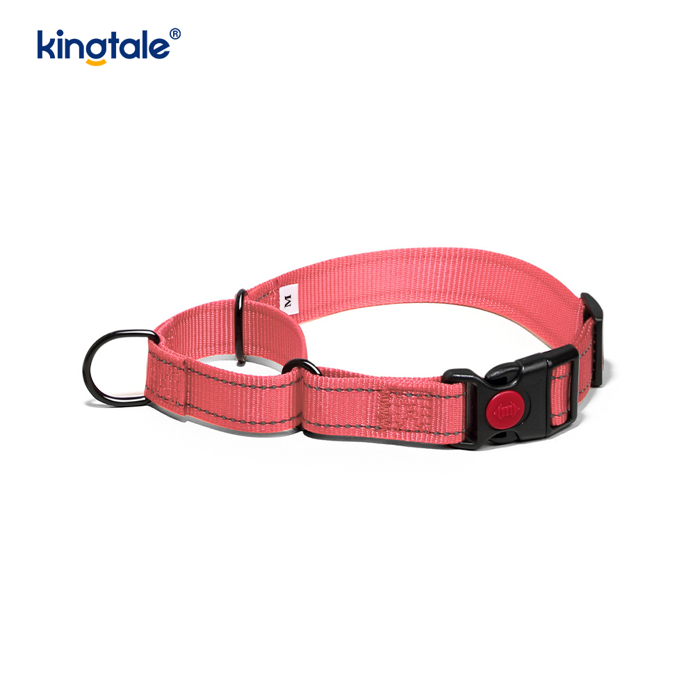 Hızlı Çıkarılan Çekme Yok Yansıtıcı Ayarlanabilir Naylon Martingale Köpek Tasması
