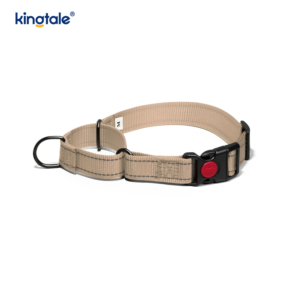 Hızlı Çıkarılan Çekme Yok Yansıtıcı Ayarlanabilir Naylon Martingale Köpek Tasması