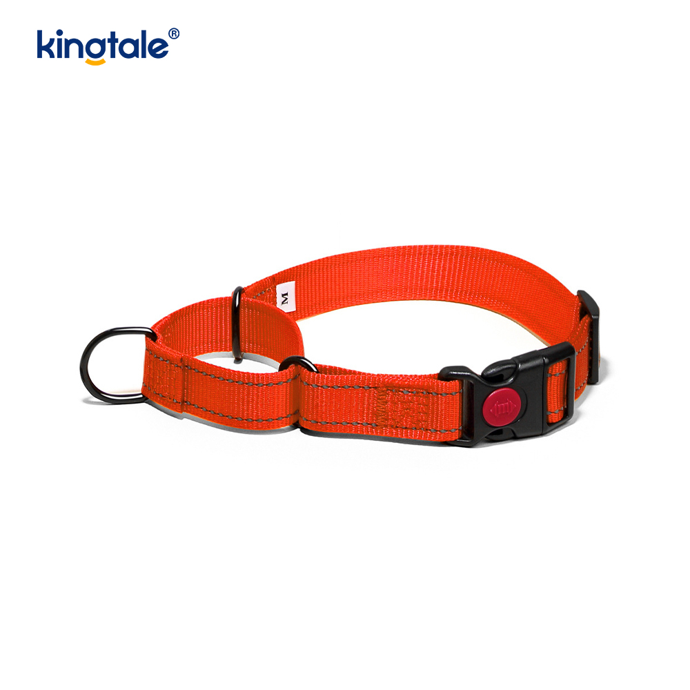Hızlı Çıkarılan Çekme Yok Yansıtıcı Ayarlanabilir Naylon Martingale Köpek Tasması