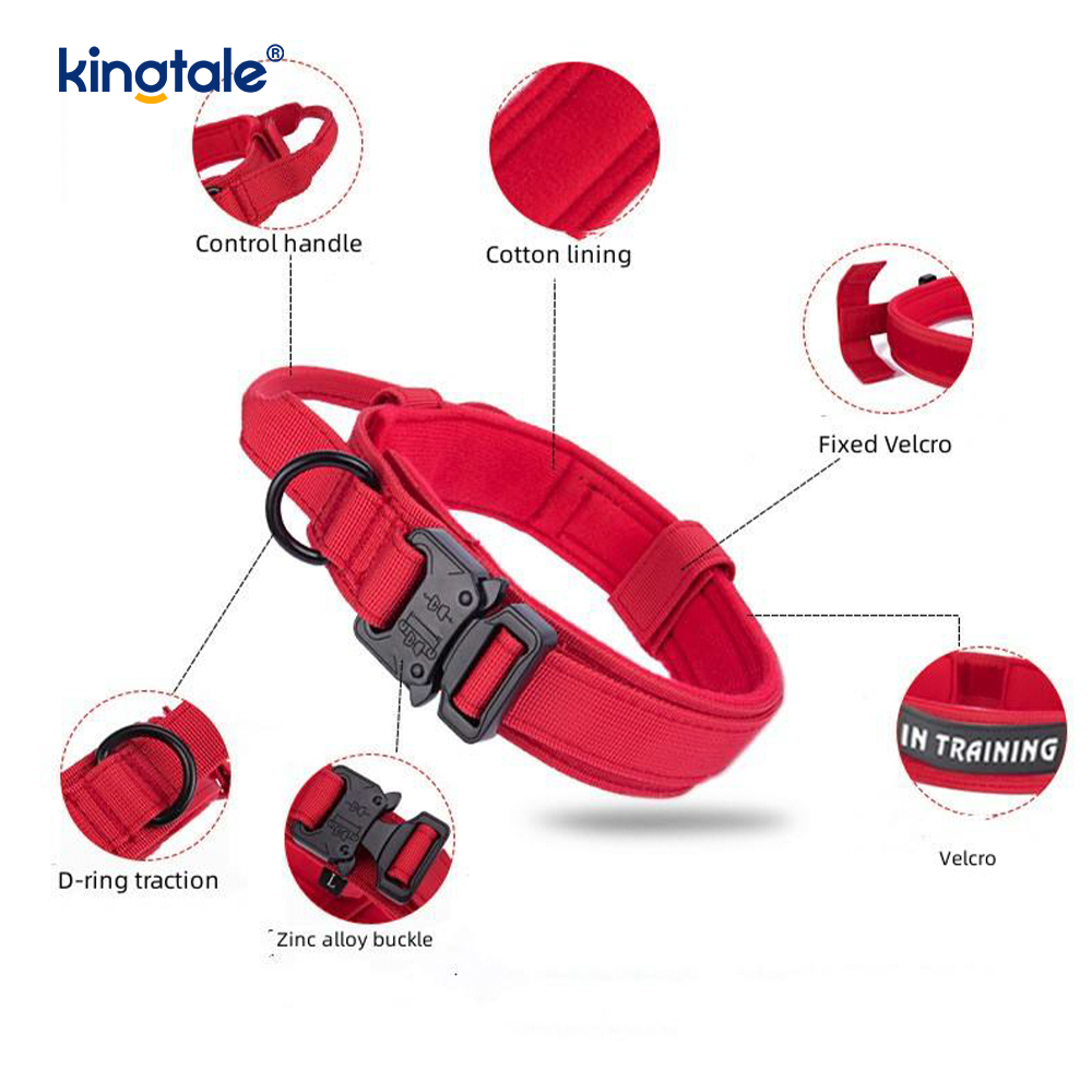 CutsomTraining Naylon Kontrol Kolu Metal Tokalı Yaka