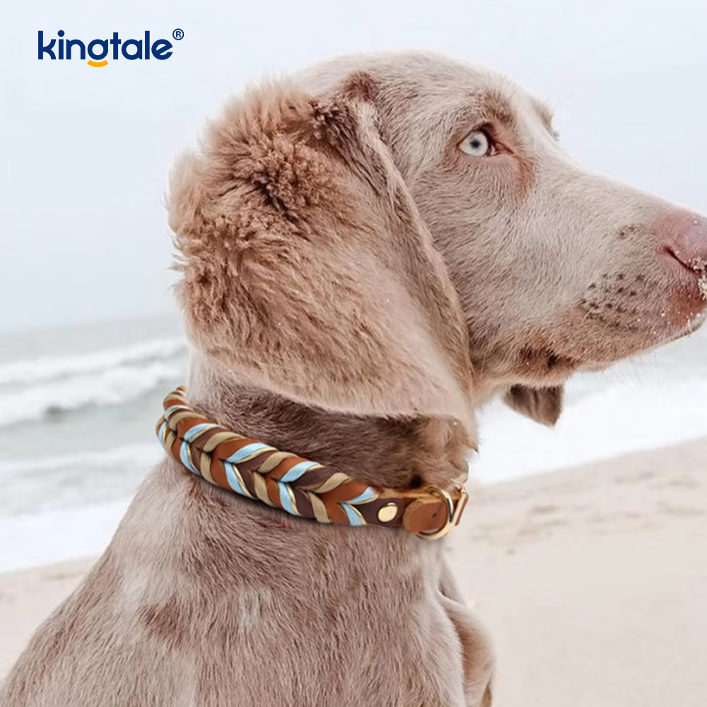 Yumuşak ve Dayanıklı Hakiki Deri Köpek Tasması ve Tasma Seti