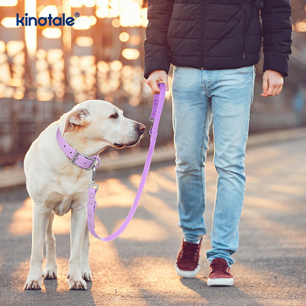 PVC Kaplamalı Su Girişimi, Aşınmaya Dirençli Köpek Tasmaları Tasma