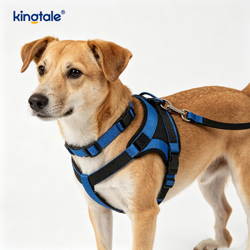 Yansıtıcı Crossbody Eller Serbest Köpek Tasma Evcil Hayvan Tasmaları