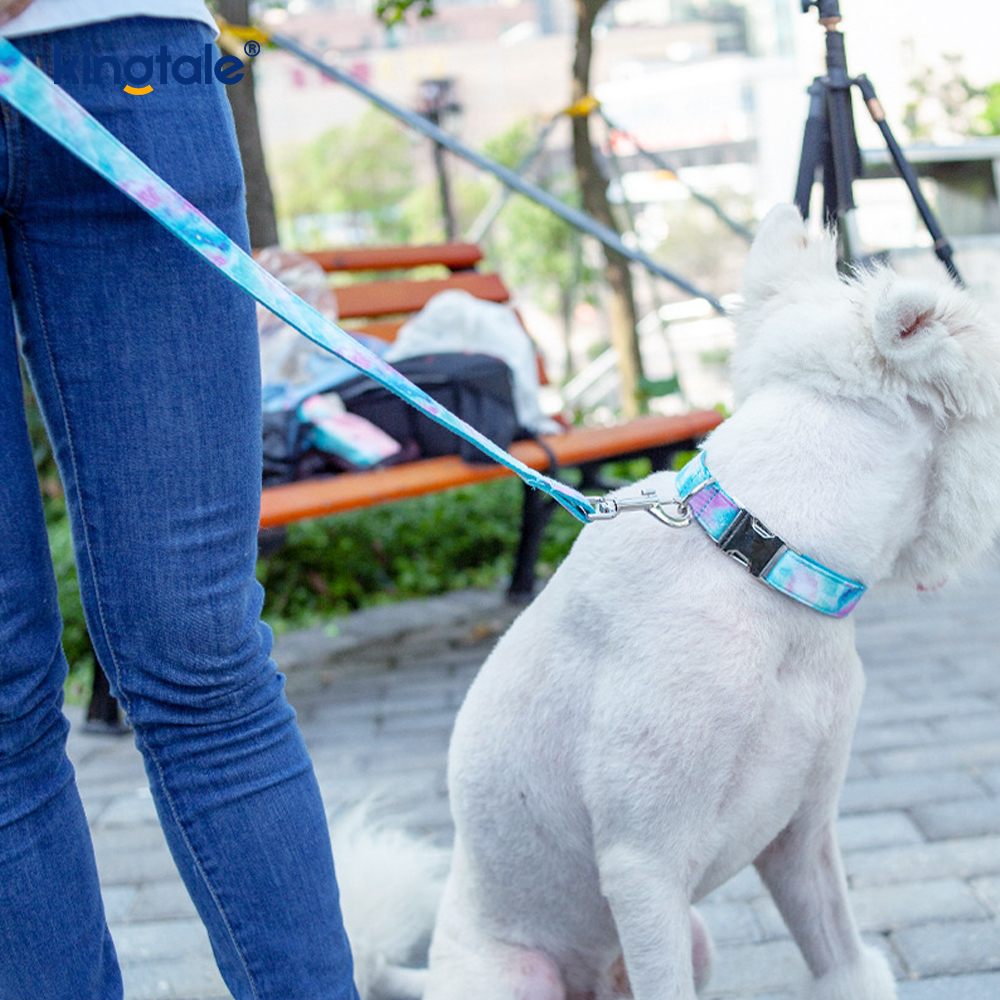 Rüya Gibi Yıldızlı Gökyüzü Evcil Hayvan Tasması Amazon Tarzı Köpek Kolye Tasması