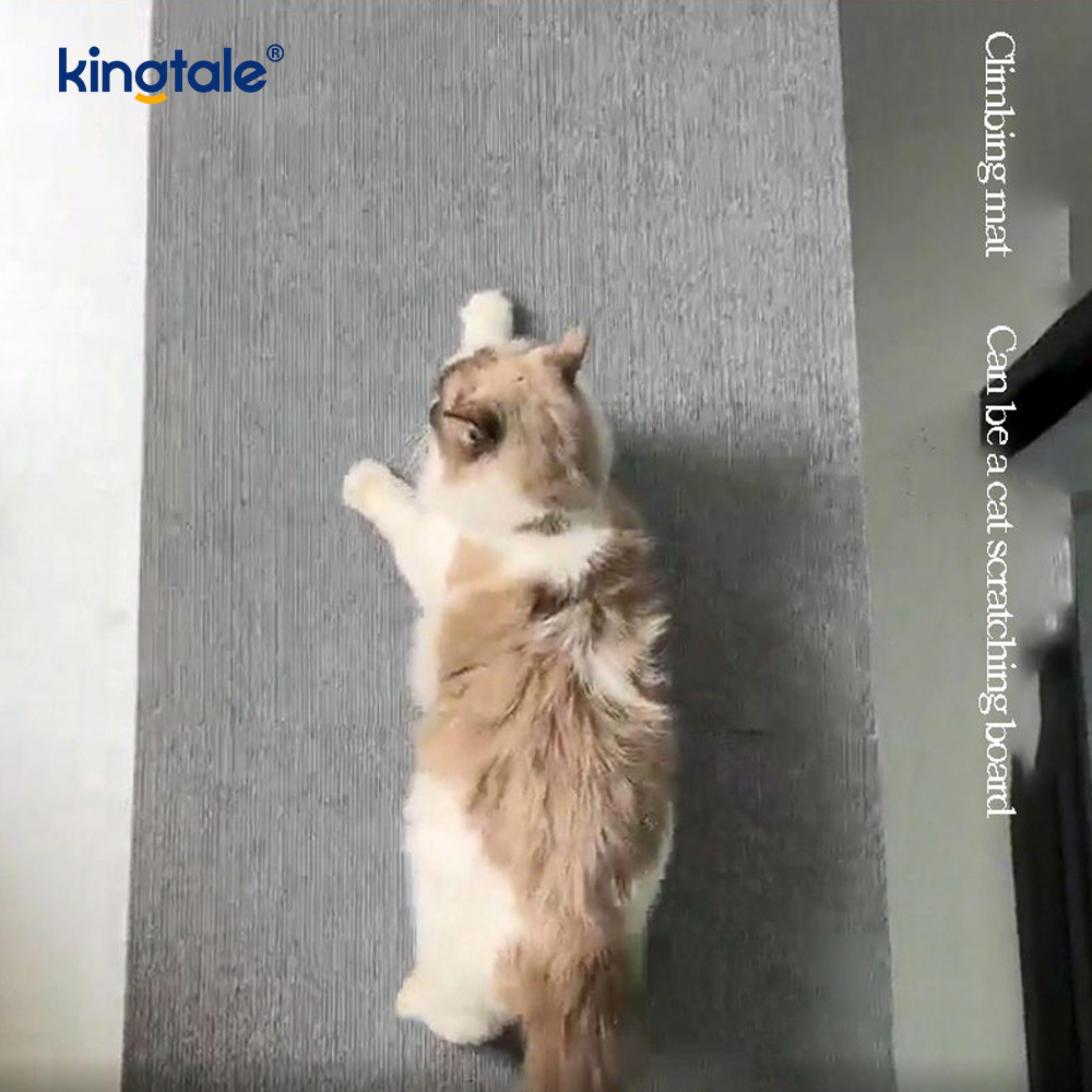 Yedek Pedler Mobilya Koruması için Kedi Tırması Yapışkanlı Halı
