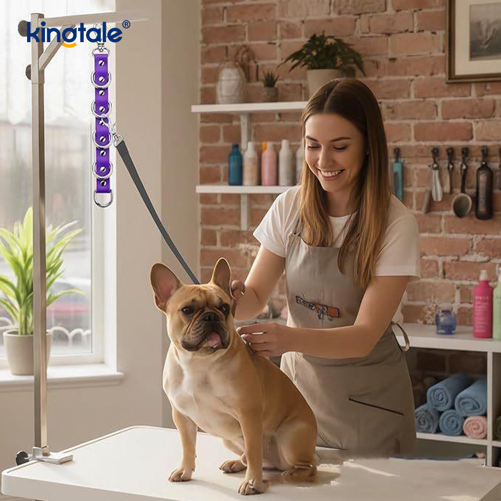 Köpek Bakım Uzatma Döngüleri Masa Askıları Banyo Masası için Tasma
