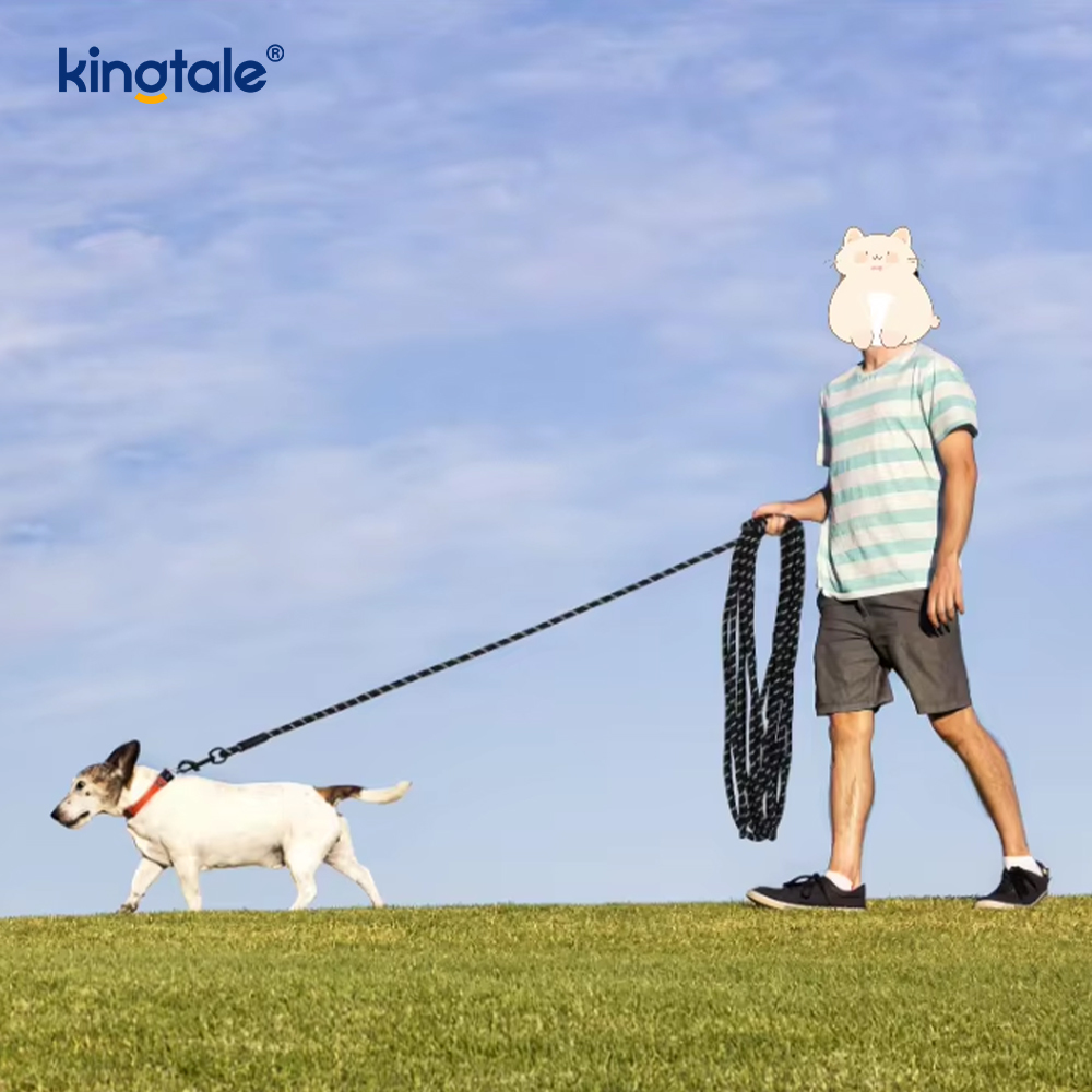 Yansıtıcı Moda Baskı Naylon Köpek Tasma Yeni Geliş Evcil Hayvan Tasmaları