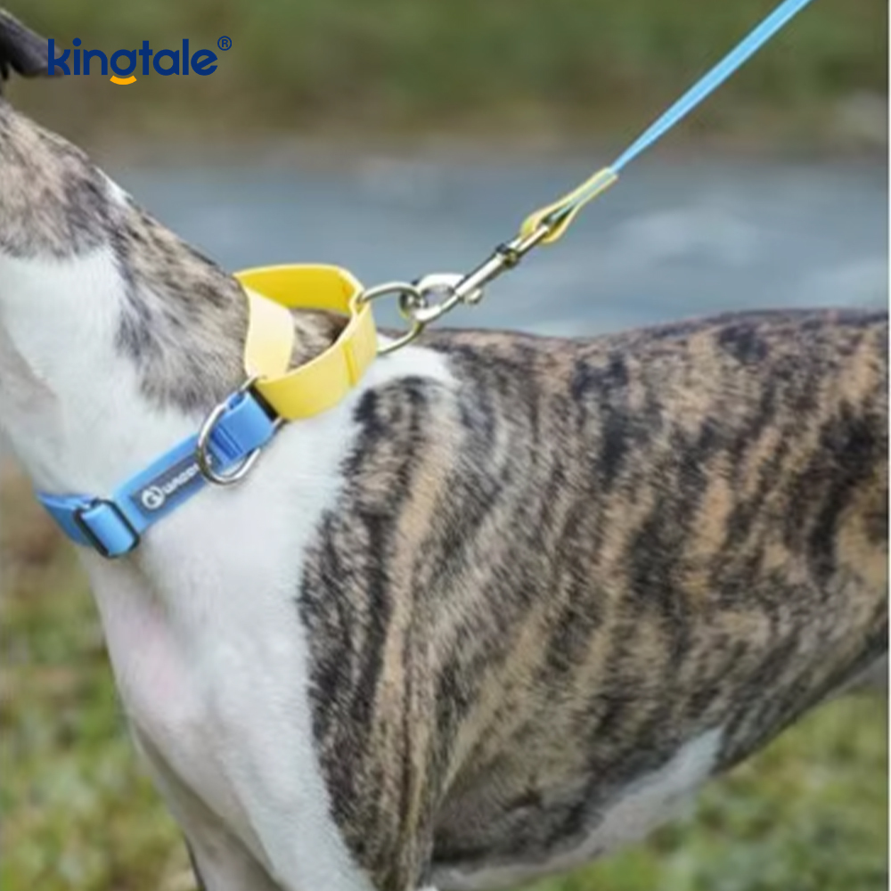 Su geçirmez Köpek Tasma Lüks Moda Basit Naylon Evcil Hayvan Malzemeleri