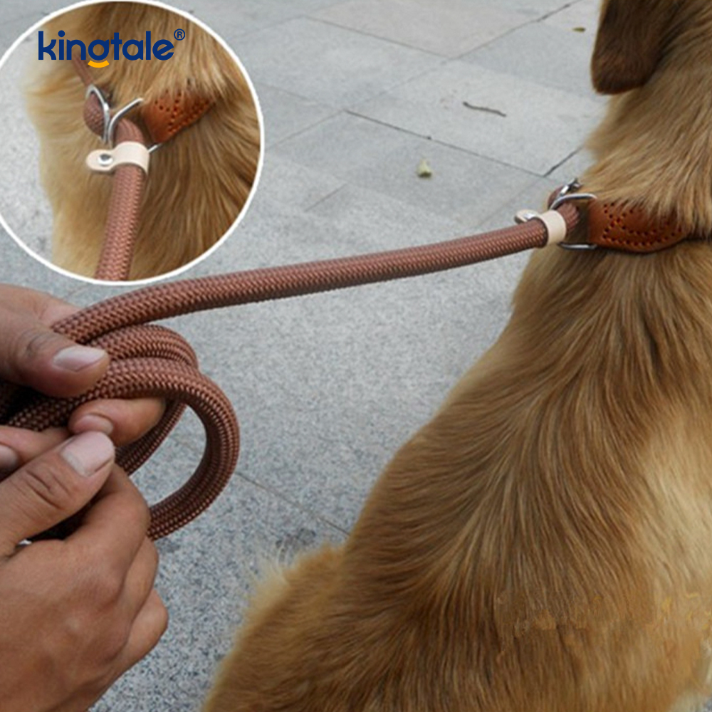Köpekler için Çekme Önleyici Ekstra Uzun ve Kalın P-Tasma Eğitim Kayma Ucu
