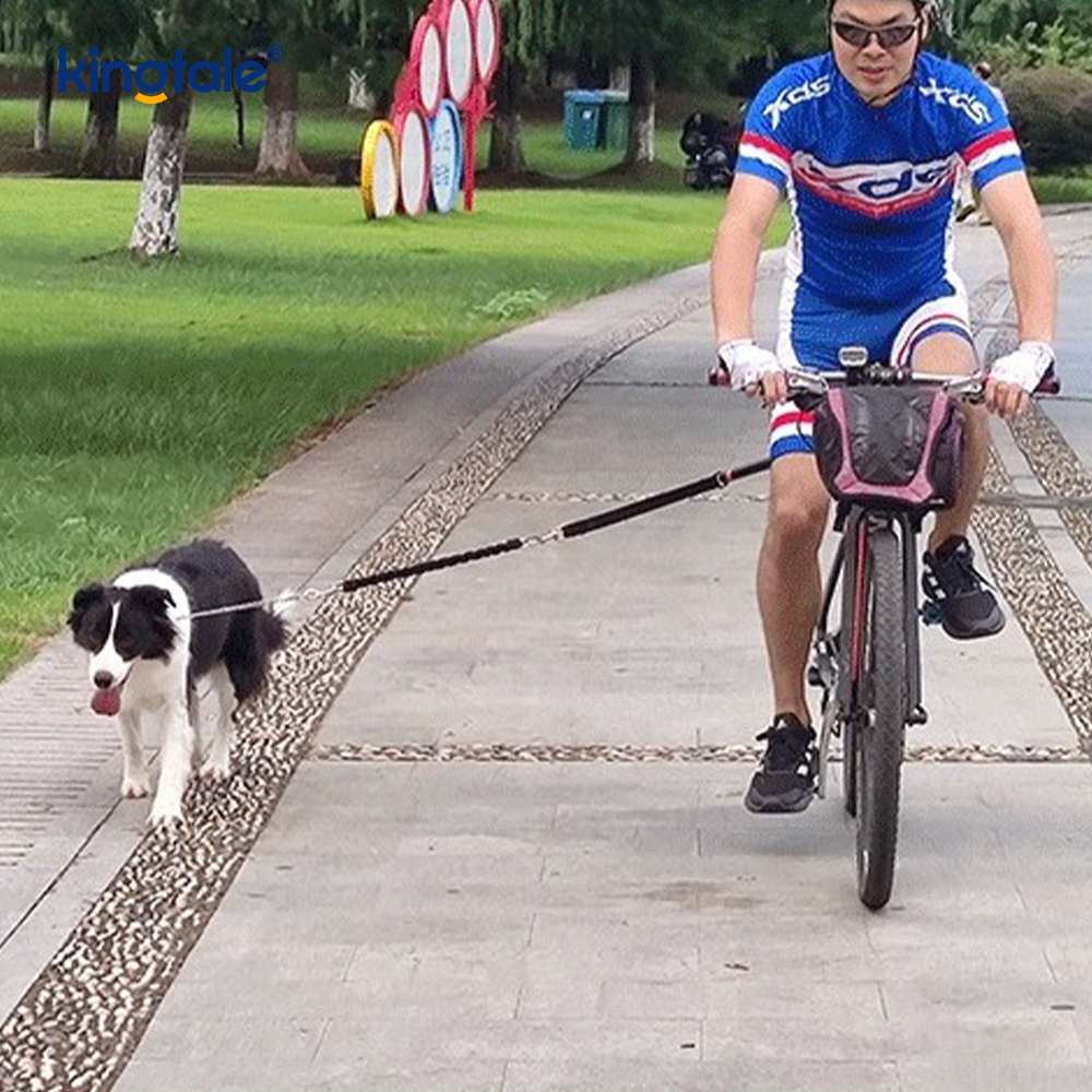 Bisiklet Köpek Tasma Aparatı Eller Serbest Bisiklete binme Köpek Çekme Halatı
