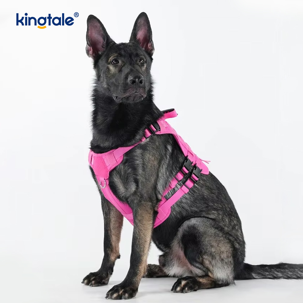 Kedi ve Köpek Sırt Çantası Omuz/Çanta Taşıyıcı Göğüs Kemeri