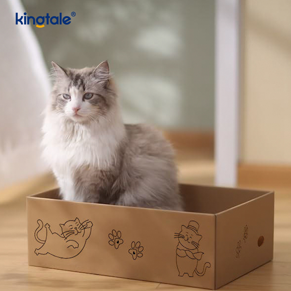Kediler için Uygun Kutulu 1 Kedi Tırmalama Pedi İçinde 5 Paket