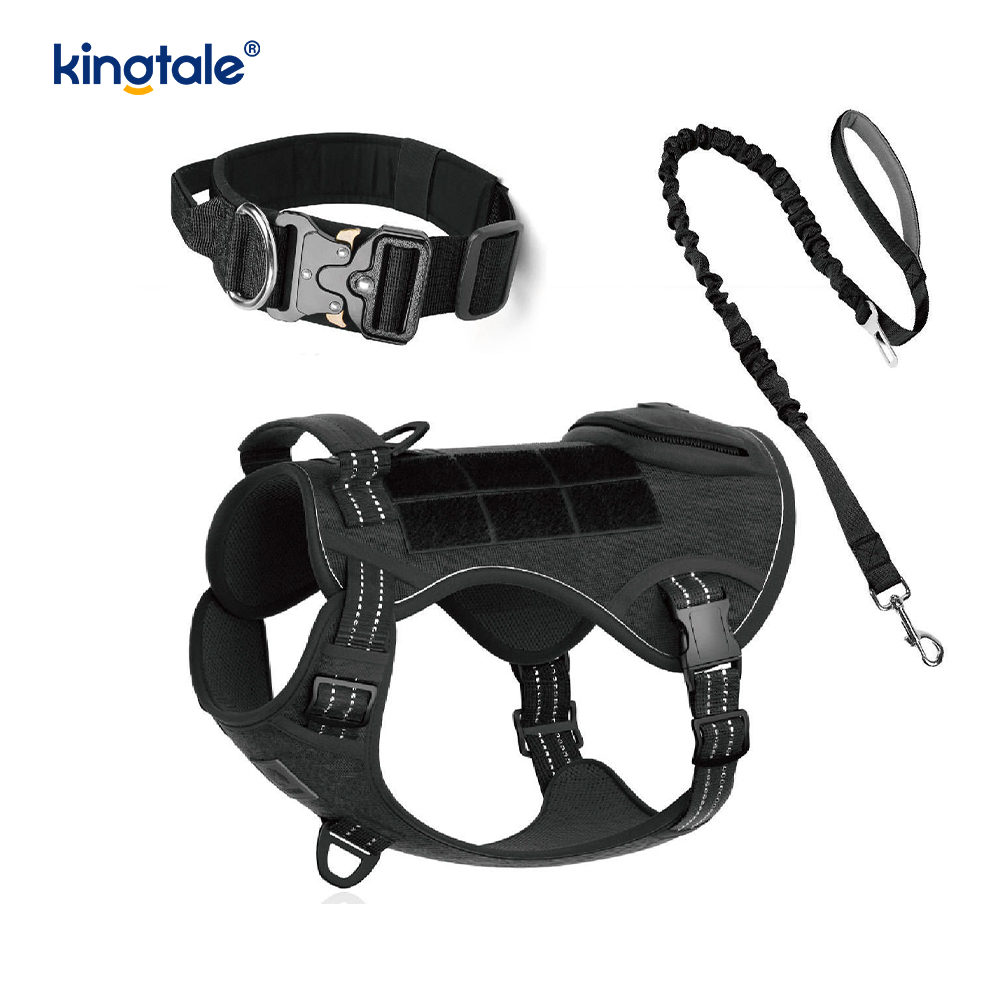 Eğitim Naylon Çekmesiz Köpek Tasması Tasma Demeti Seti Kontrollü