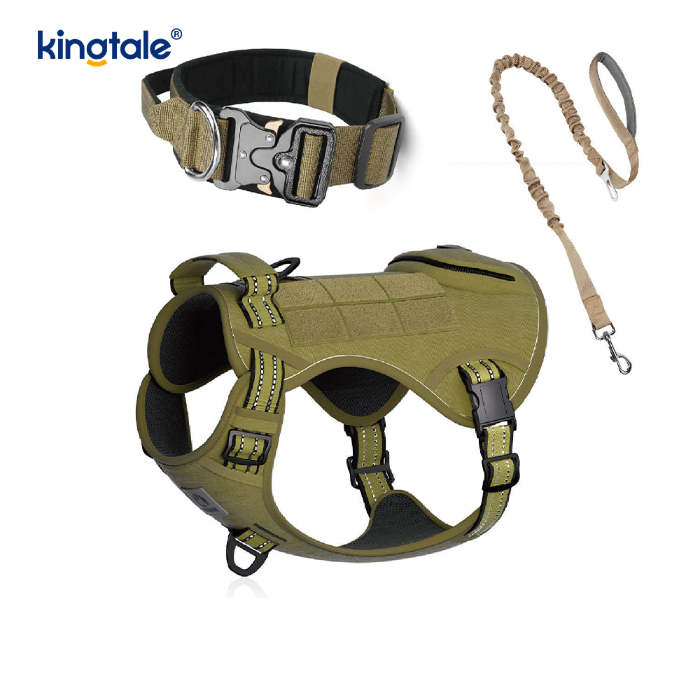 Eğitim Naylon Çekmesiz Köpek Tasması Tasma Demeti Seti Kontrollü