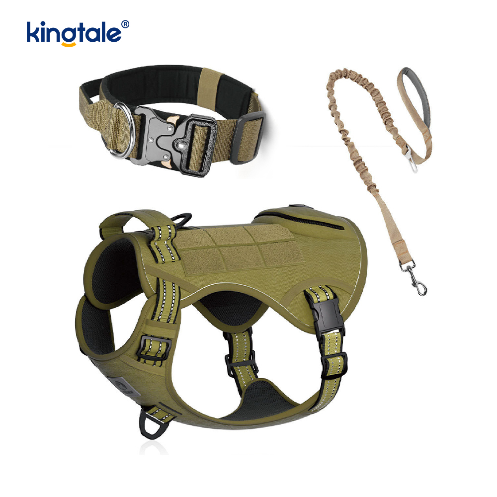 Eğitim Naylon Çekmesiz Köpek Tasması Tasma Demeti Seti Kontrollü